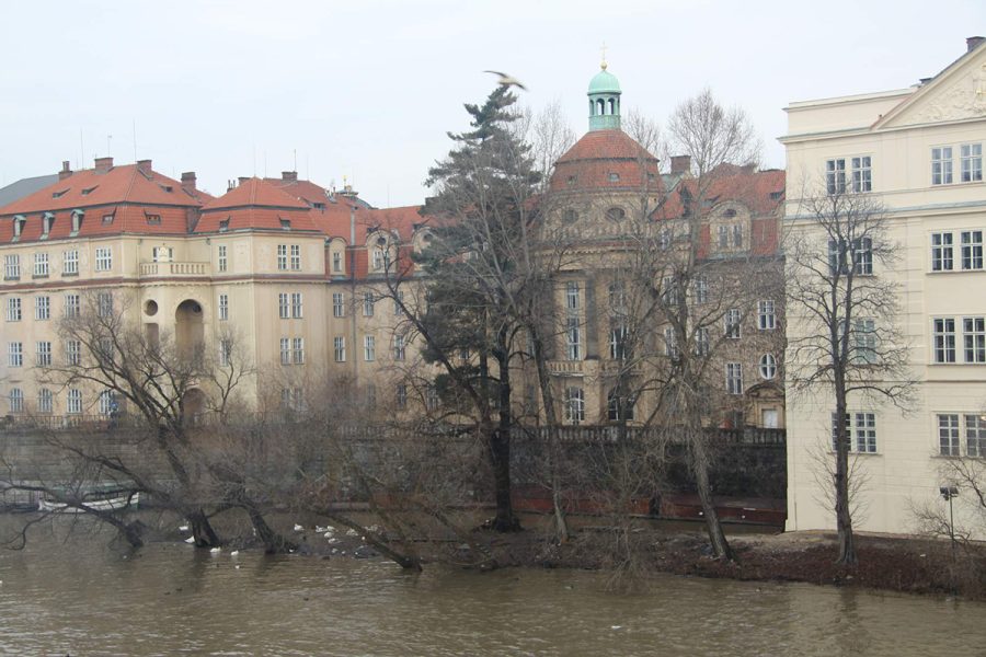 Křižovnický ostrov